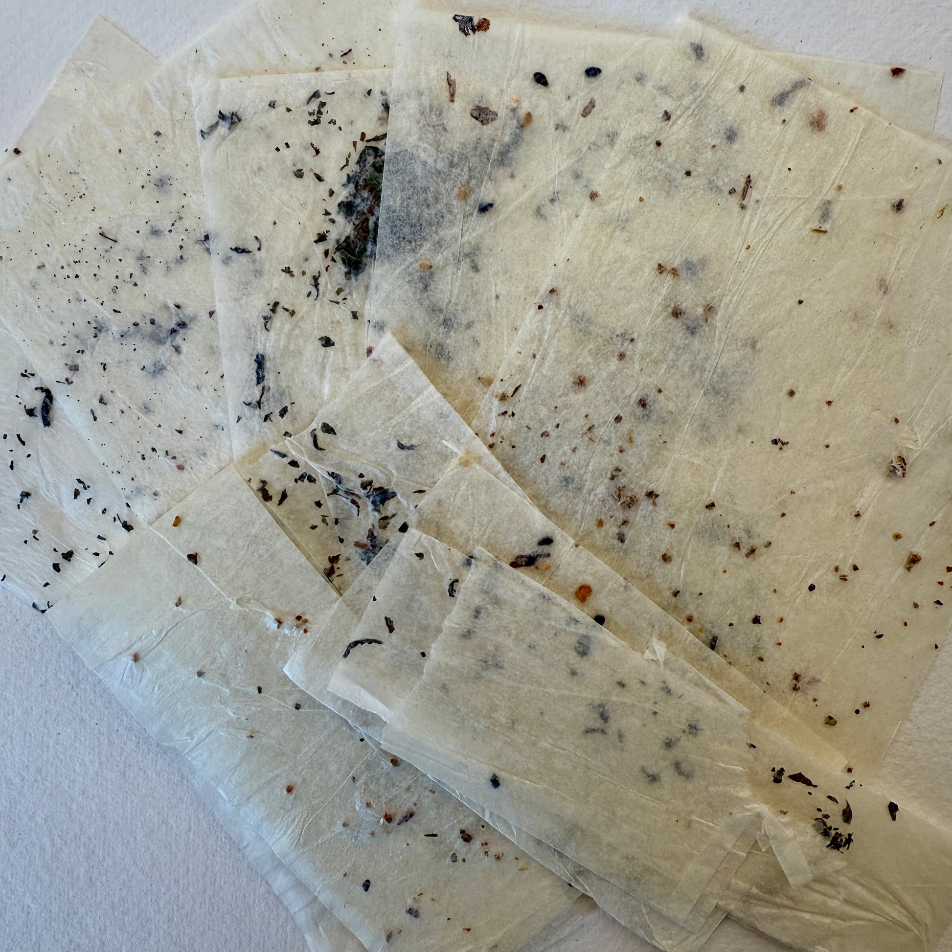 pieces of textured tissue paper containing seeds and tea leaves